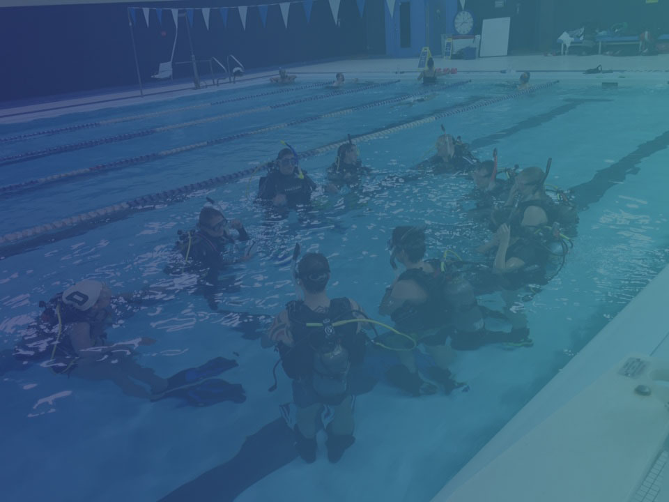 Diving pool training